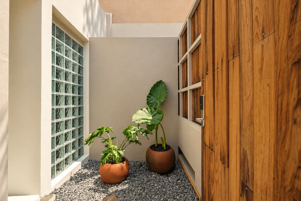 Cactus, room 3B: the terrace