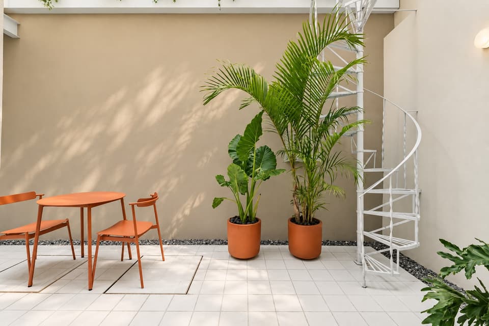 Helecho, room 1A: the patio