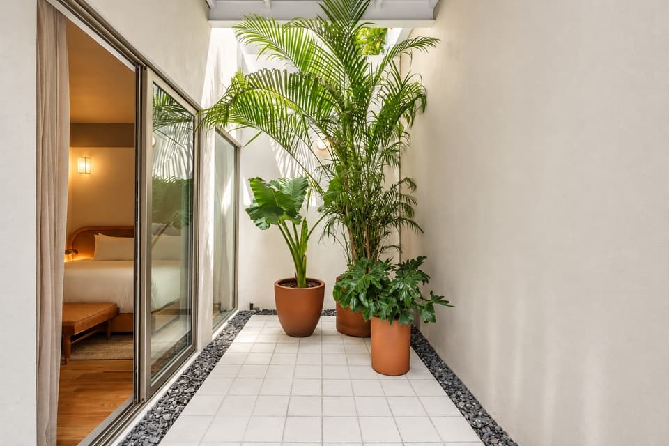 Helecho, room 1A: the patio